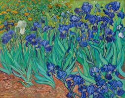 The 5 best art galleries in the world - Getty Irises
